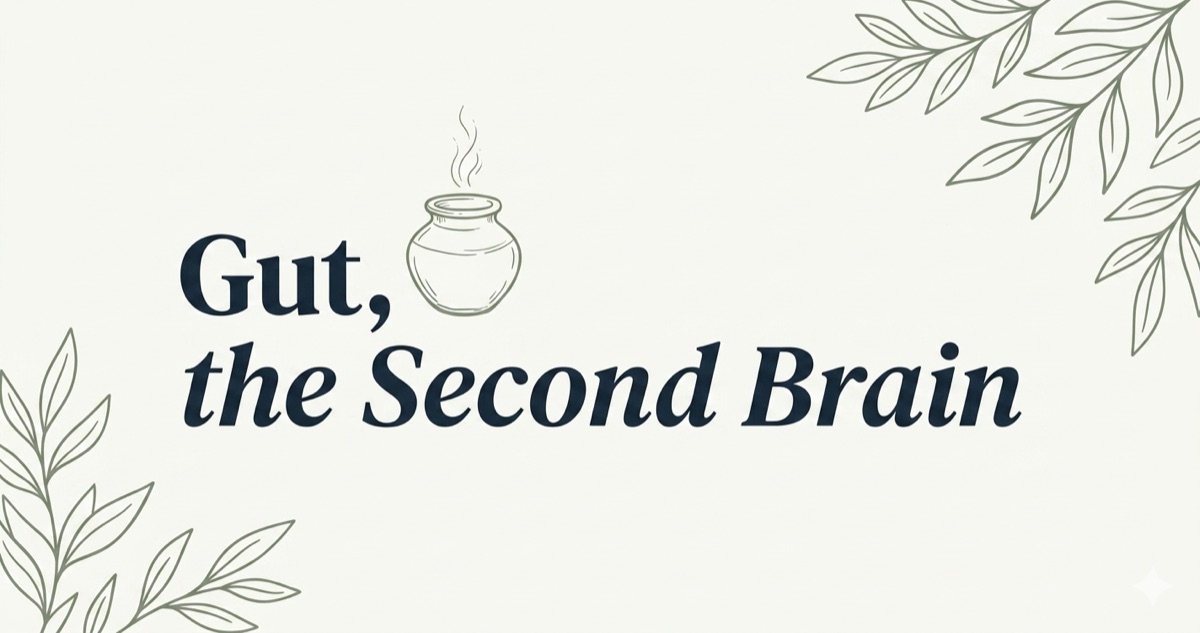 Cream-toned editorial cover with the words 'Gut, the Second Brain' set in deep ink serif, with a small ink-line illustration of an earthen kanji jar above the title and soft sage botanical accents in the corners.